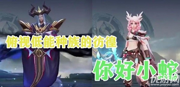 王者荣耀瑶口中的小蛇是以下哪位英雄 细节考验第九题答案分析