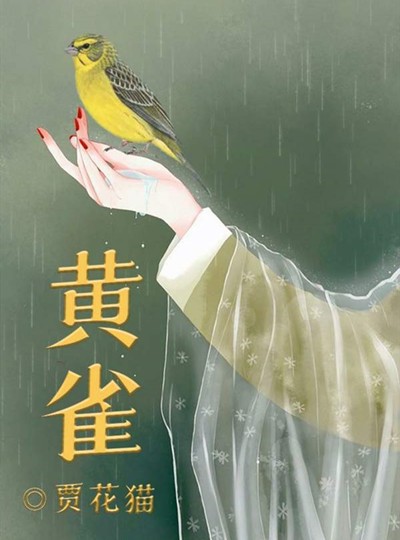 百变大侦探黄雀凶手是谁 百变大侦探剧本杀黄雀答案解析