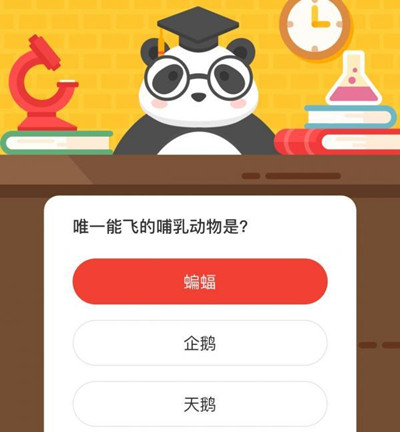 唯一能飞的哺乳动物是 森林驿站6月26日每日一题答案