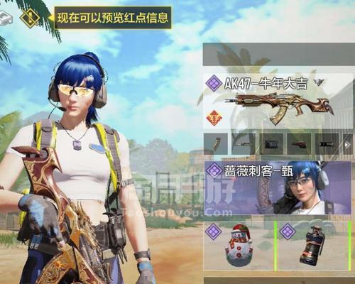 蔷薇刺客之战场霸主——最强选手出装攻略（打造无敌战力，征服整个战场！）(蔷薇刺客真人)