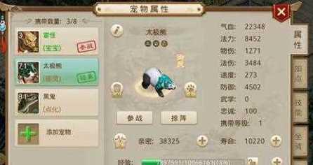 问道宝宝出装顺序攻略（玩转宝宝出装一步一脚印）(问道那个宝宝伤害高)