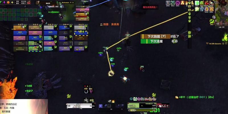 SW布胖技能攻略（掌握SW布胖技能的关键要点，打造最强大的角色）(tbc布胖技能)